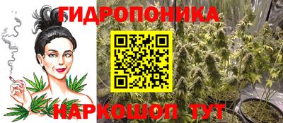 jwh Партизанск