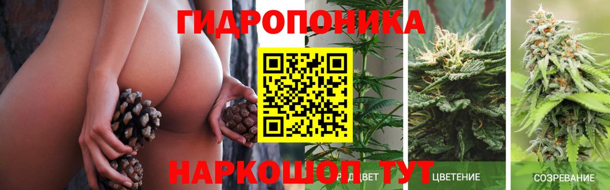 Бошки марихуана OG Kush  Марихуана OG Kush  Бошки марихуана конопля  Вход с VPN  Сегежа 